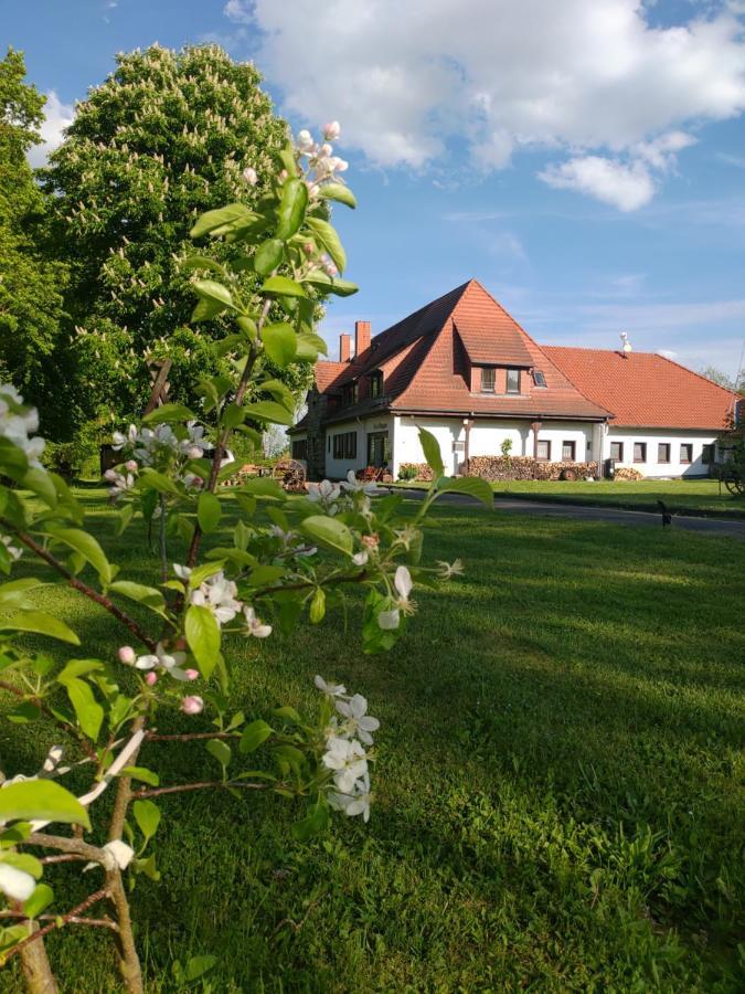 Haus Ringgau - Urlaub, Gemeinschaft Und Erlebnis Im Herzen Von Deutschland Herleshausen Exterior photo
